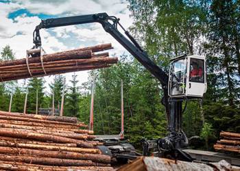 Timber Crane